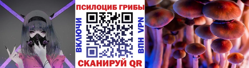 Галлюциногенные грибы Psilocybe  Купить  Пенза 